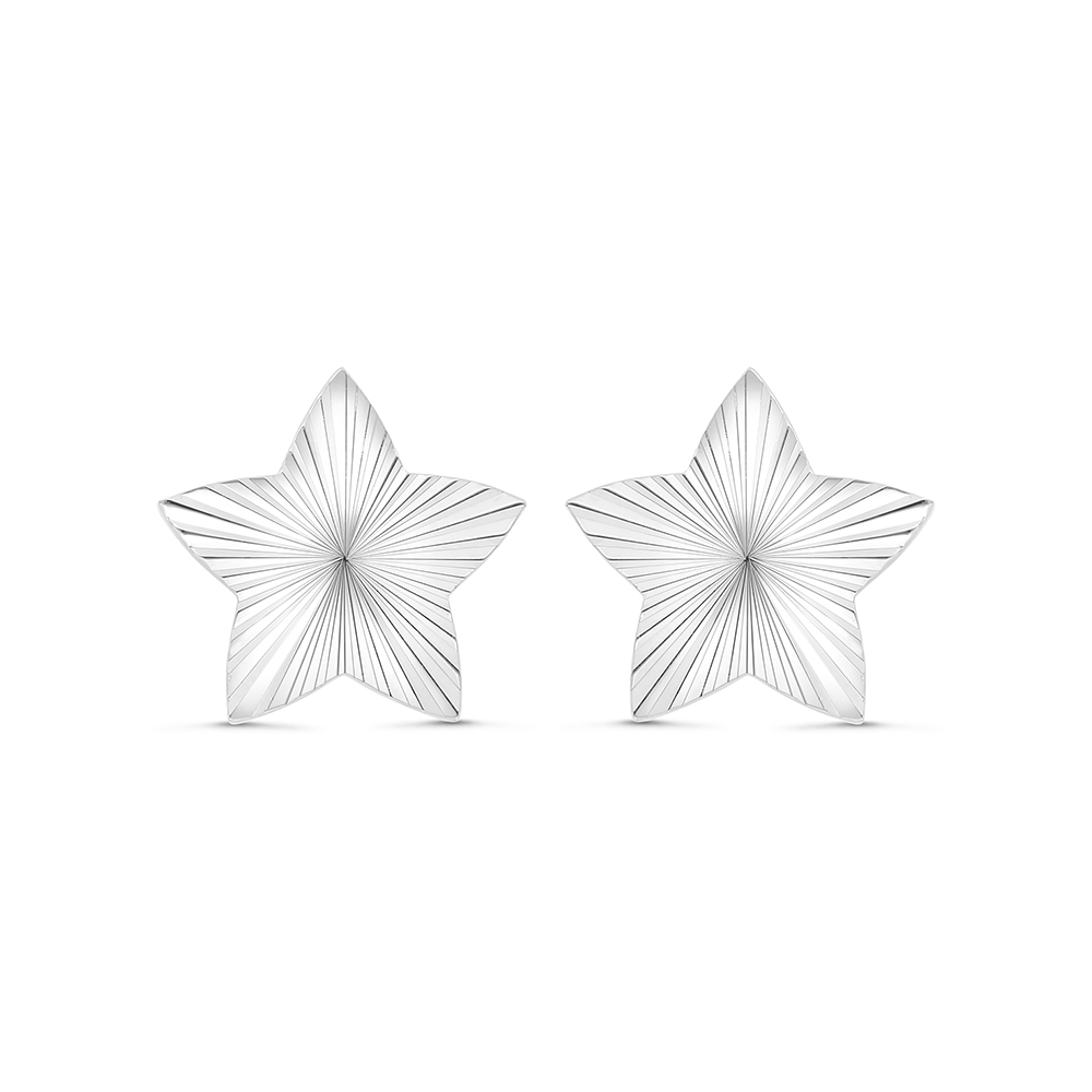 Sterling Silver 925 Earring Rhodium Plated