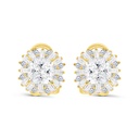 Sterling Silver 925 Earring Gold Plated Embedded With Yellow Zircon And White Zircon