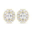 Sterling Silver 925 Earring Gold Plated Embedded With Yellow Zircon And White Zircon