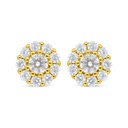 Sterling Silver 925 Earring Golden Plated Embedded With White Zircon