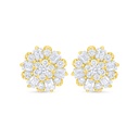 Sterling Silver 925 Earring Golden Plated Embedded With White Zircon