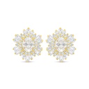 Sterling Silver 925 Earring Golden Plated Embedded With White Zircon