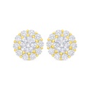 Sterling Silver 925 Earring Golden Plated Embedded With White Zircon