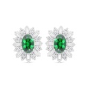 Sterling Silver 925 Earring Rhodium Plated Embedded With Emerald Zircon And White Zircon