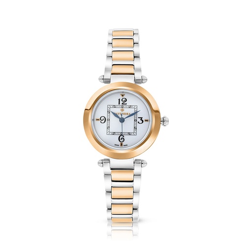 [WAT3500000SILW060] Stainless Steel 316 Watch Steel And Rose Gold Color - SILVER DIAL